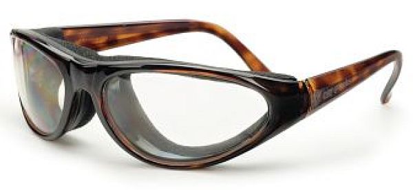 Onion Goggles